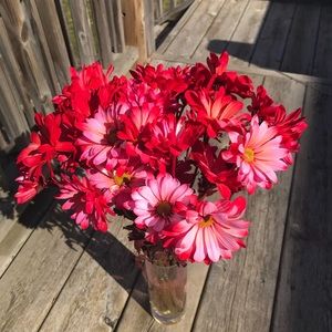 Meet your Posher, Chloe